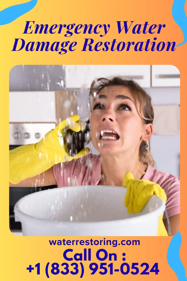 Emergency Water Damage Restoration in West Waynesburg, PA
