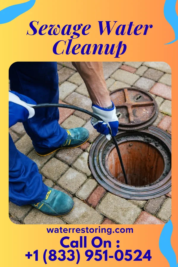 Sewage Water Cleanup in West Waynesburg, PA