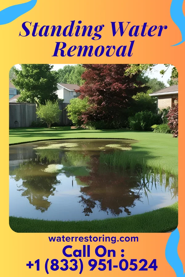 Standing Water Removal in West Waynesburg, PA